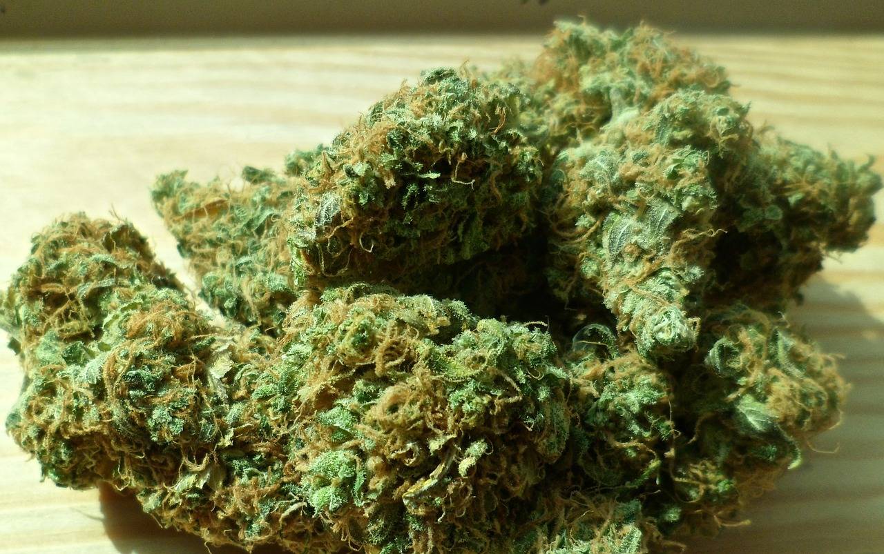 marihuana a domicilio marihuana a domicilio