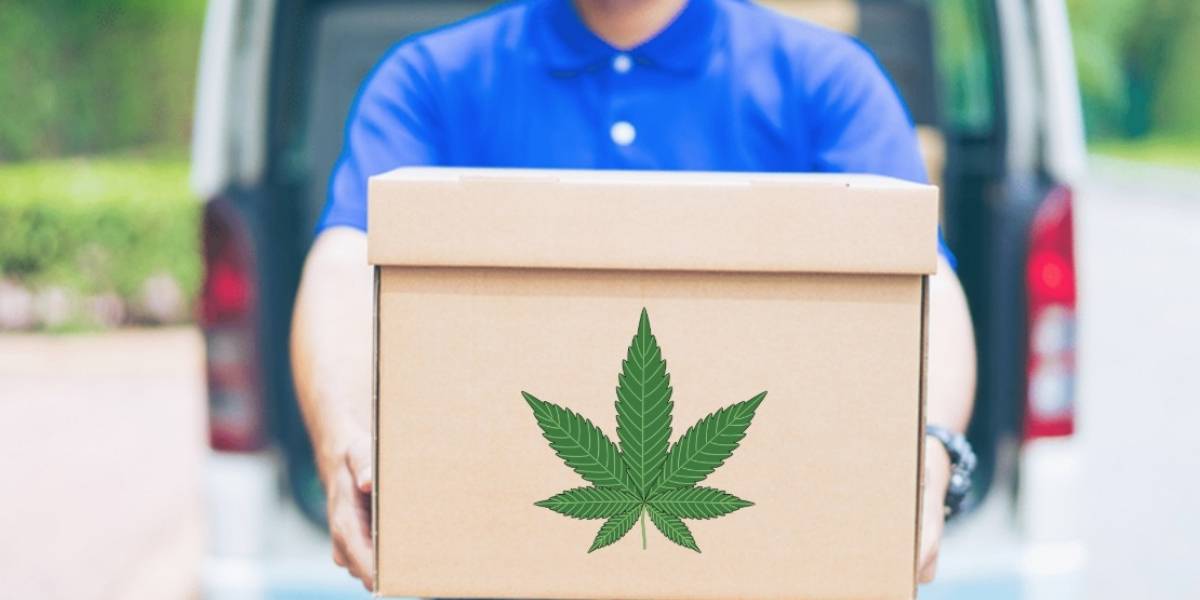México: Ya venden marihuana a domicilio a través de aplicaciones