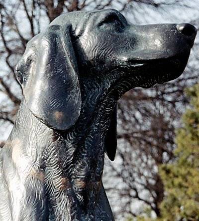 La triste historia de la frase: "el perro es el mejor amigo del hombre"