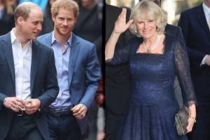 Camilla Parker hizo enfurecer a los príncipes Harry y Guillermo y se ha vuelto a ganar su desprecio
