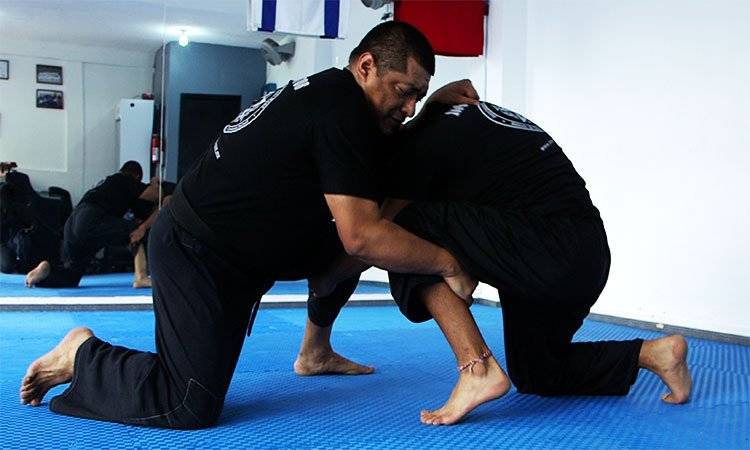 Combate cuerpo a cuerpo
