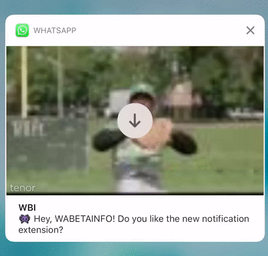 WhatsApp gif pré-visualização