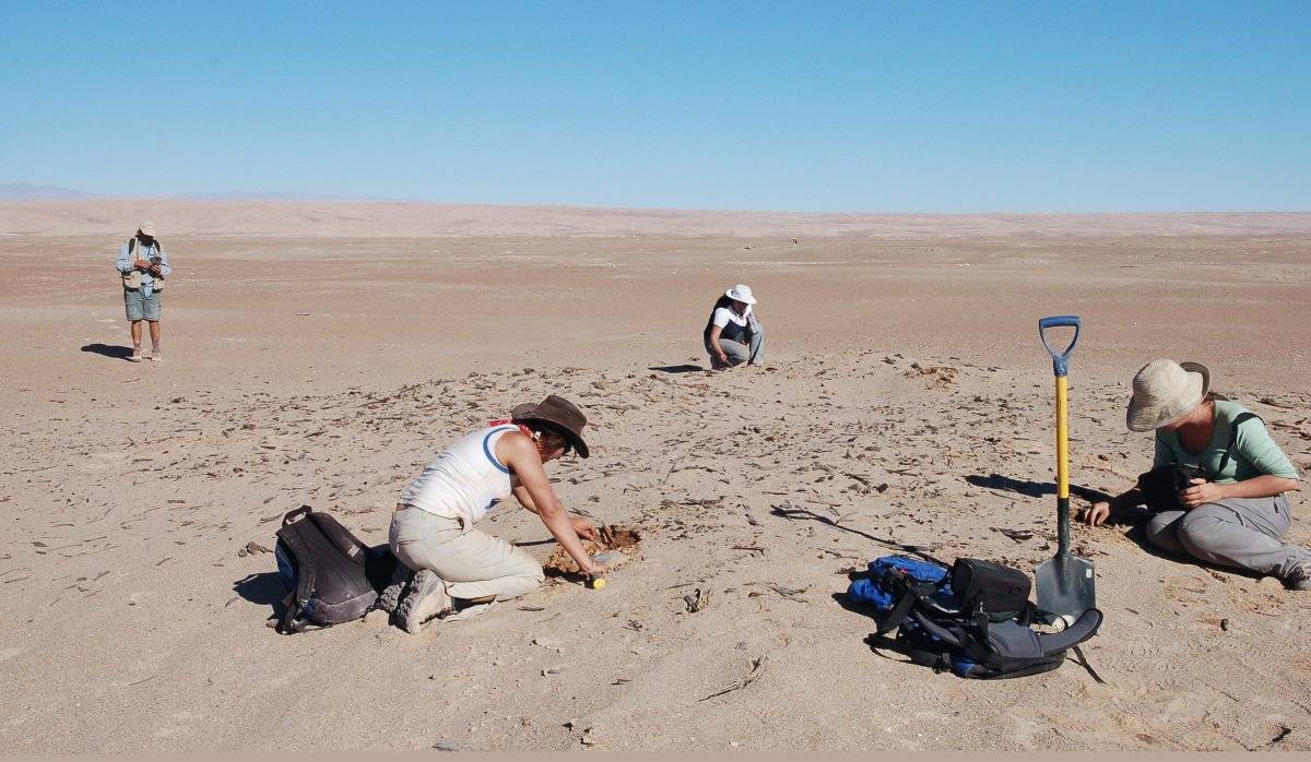 investigadores