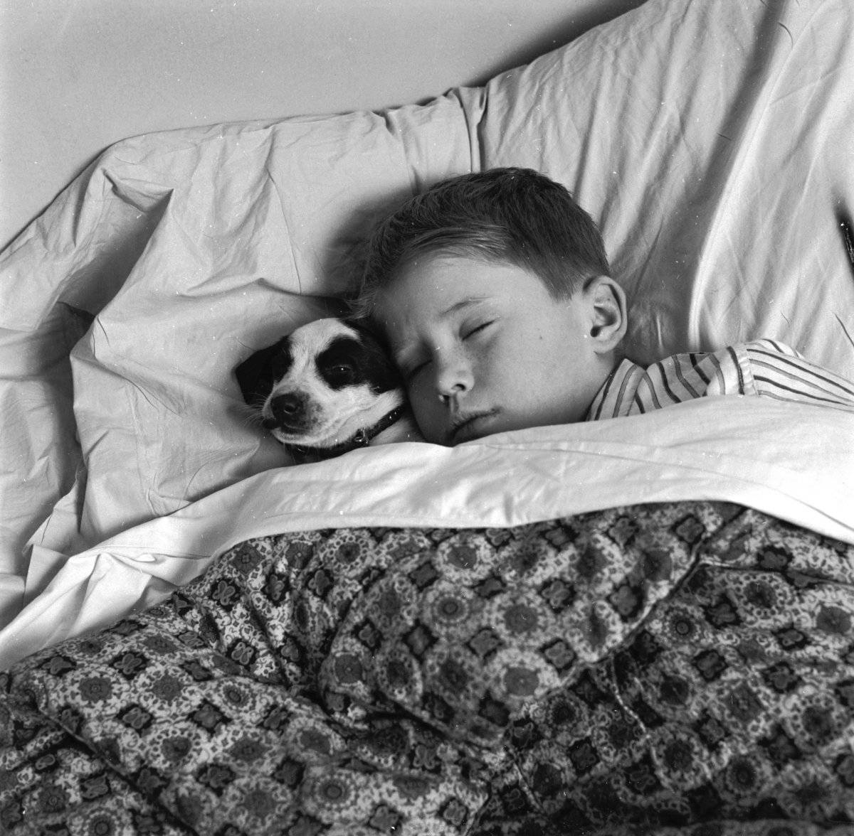 La ciencia por fin logra explicar por qué tenemos sueños cuando dormimos
