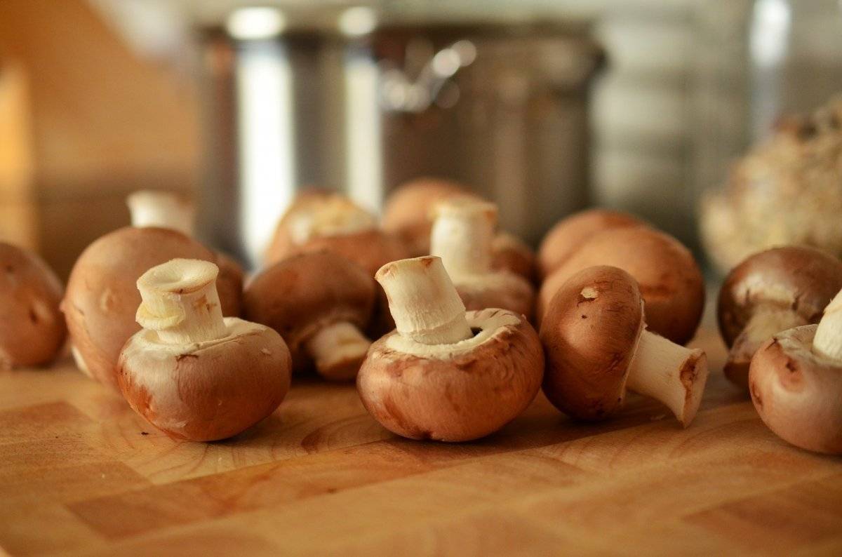 Cogumelos