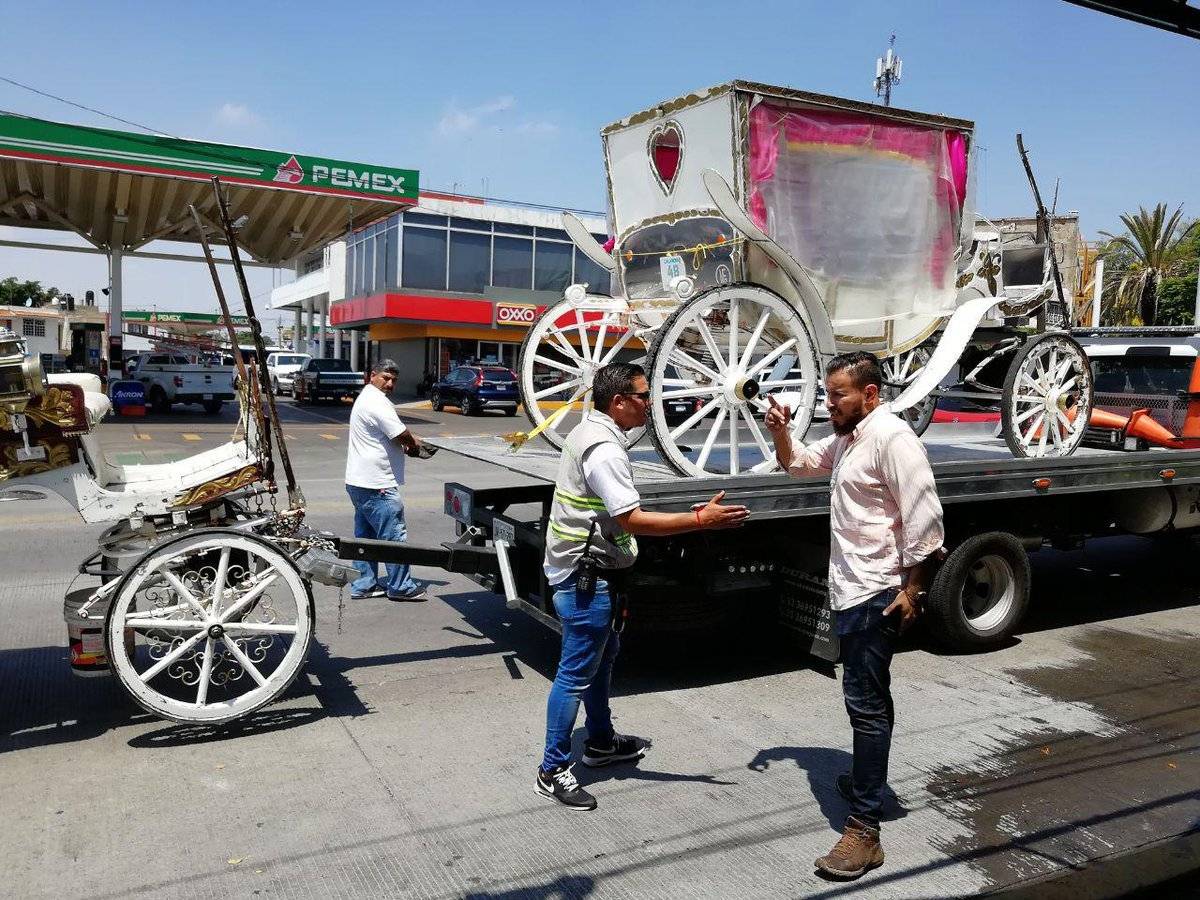 Mantiene el ayuntamiento de Guadalajara operativo con calandrias