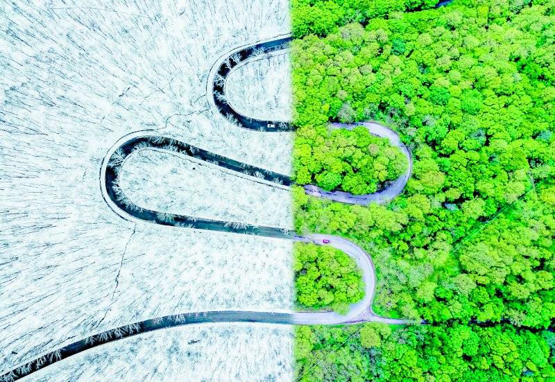 Clima serpiente