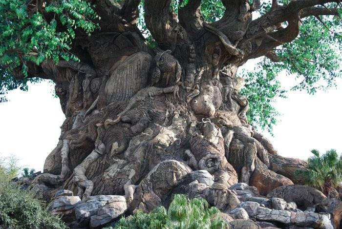árbol del tule