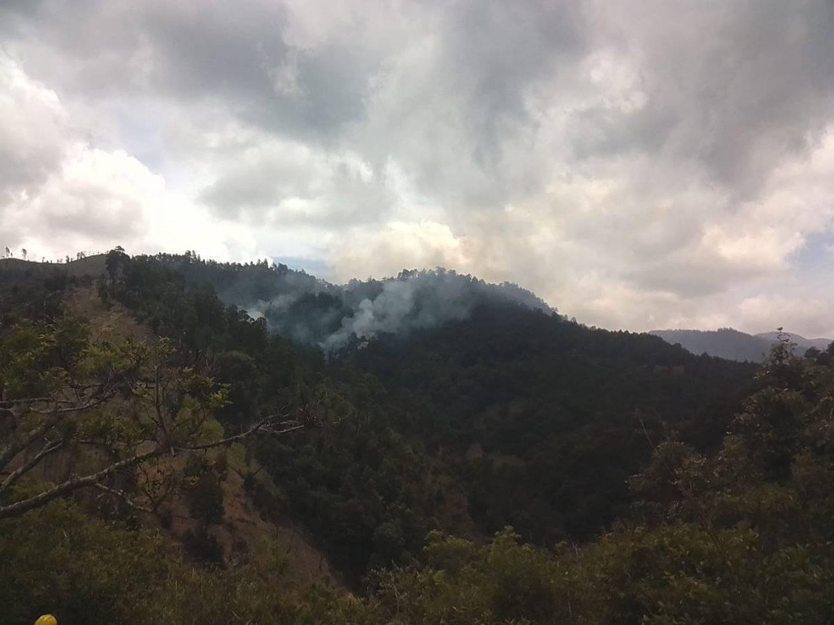 Incendios forestales