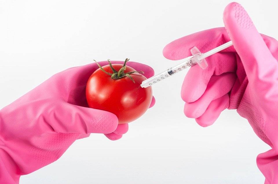 GMos