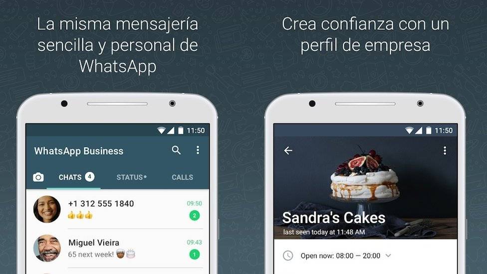 102798683whatsapp-4402fbecfb63629be034b6a3ce280301.jpg