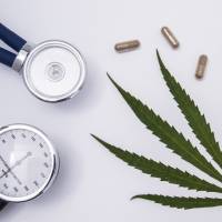 Buscan que sea más fácil y por más tiempo la licencia de cannabis medicinal