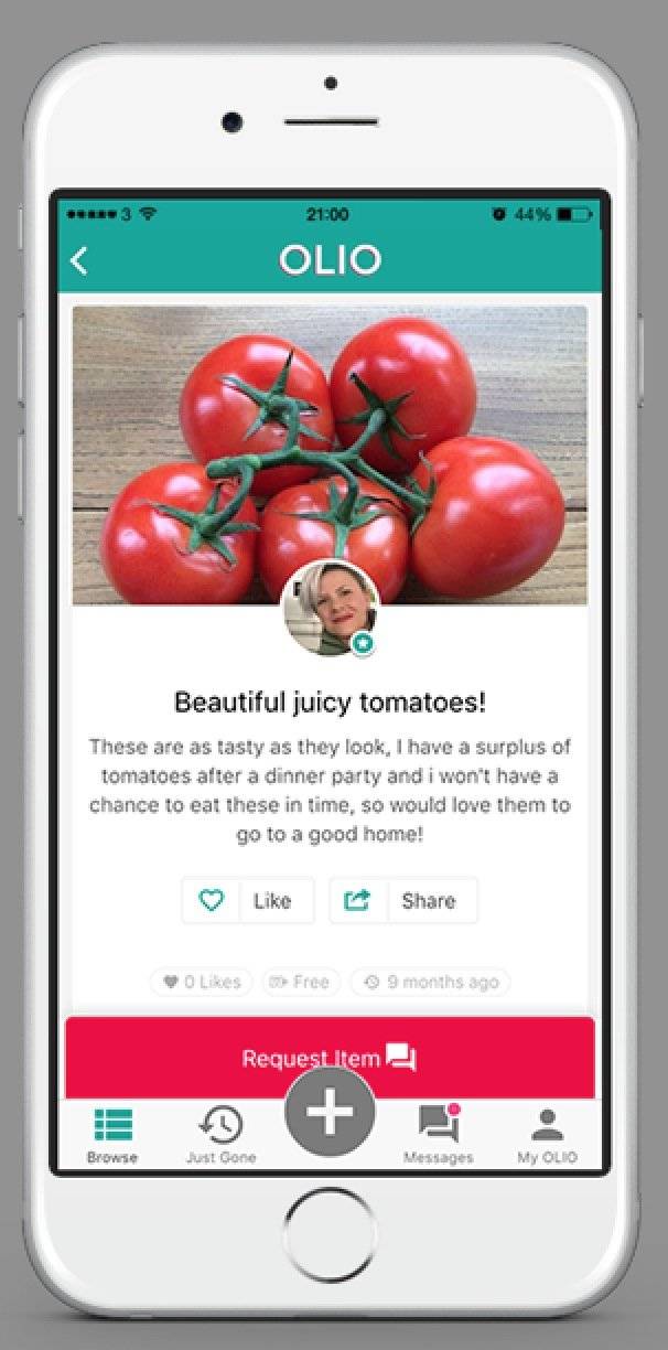 Olio