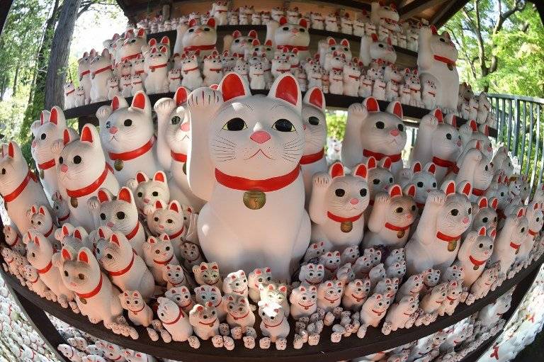 Templo de gatos de la suerte en Japón
