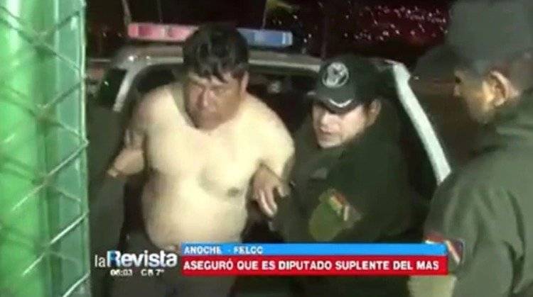 diputado