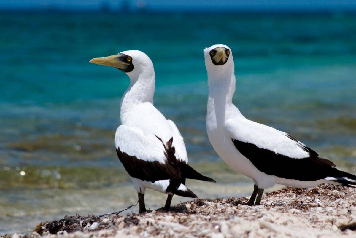 Islas de México