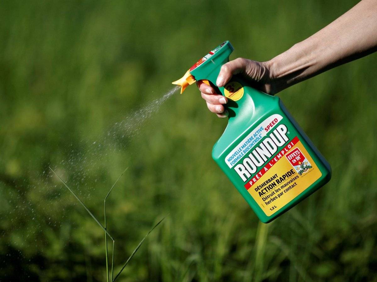 Grave: Monsanto admitió que usó pesticida tóxico prohibido en cultivos de Hawái