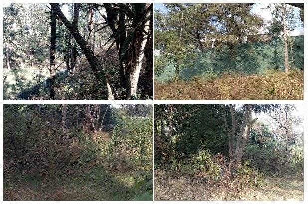 terrenos vinculados con Baldetti extinguidos