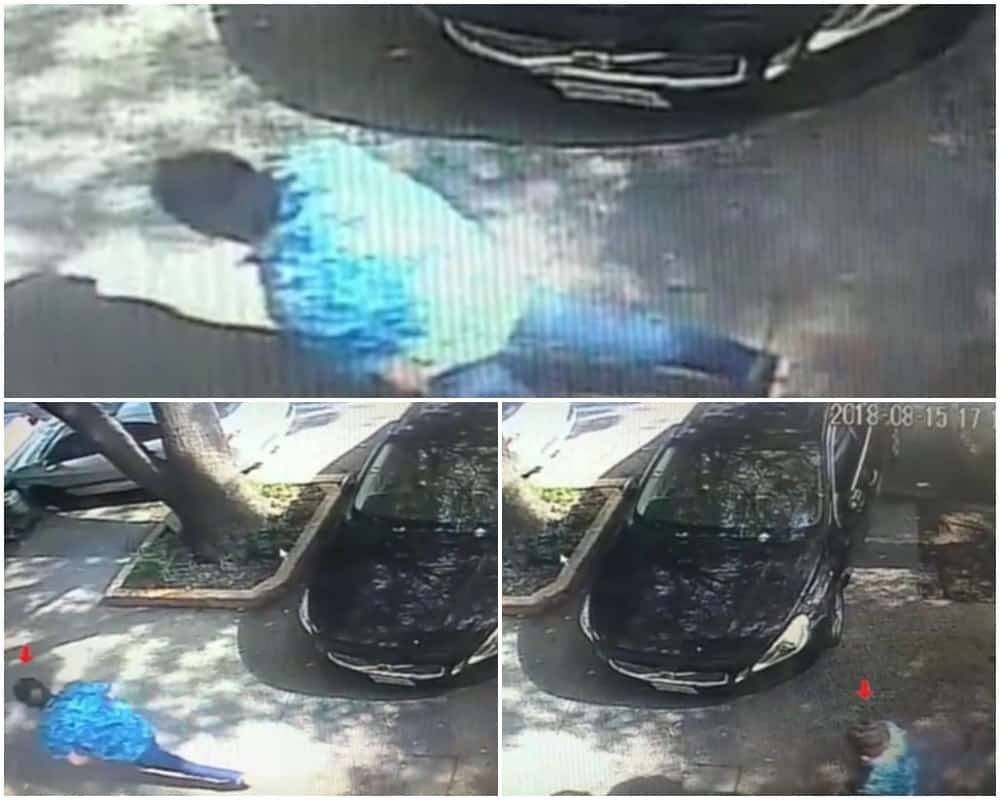 Asesino Fabio Melanitto