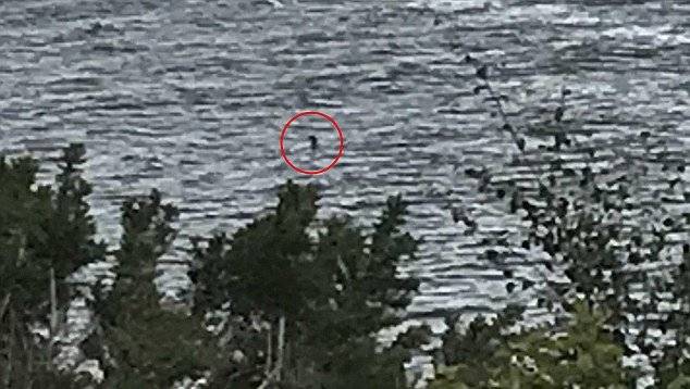 Nessie