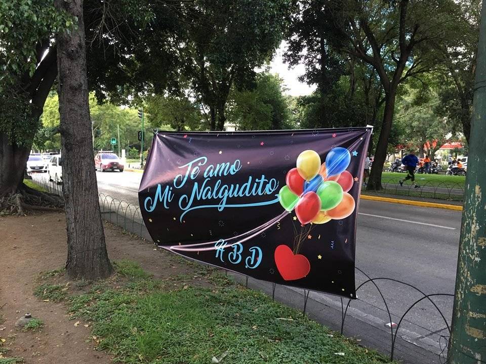 Rótulo