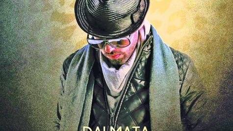 Dalmata con Sutra