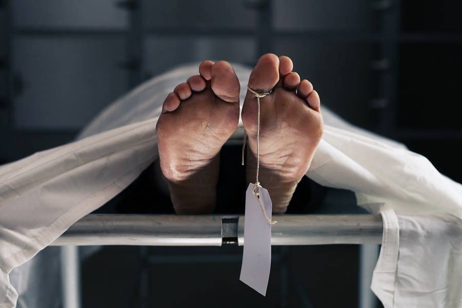 Cadaver