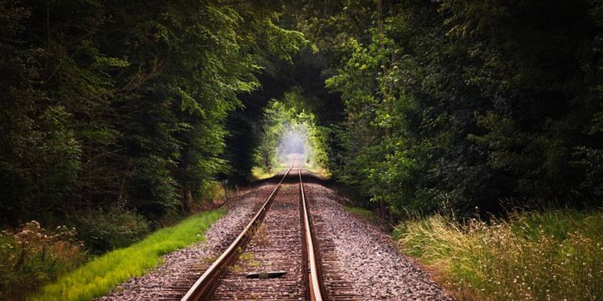 México: El Tren Maya propuesto por AMLO costará miles de millones de dólares