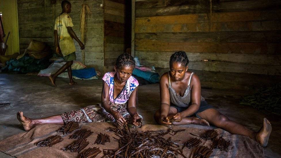 103108817copyof20160606fellipeabreumadagascar41210-ea45bcee7cca47c0ce313d0e8fb5b4ab.jpg