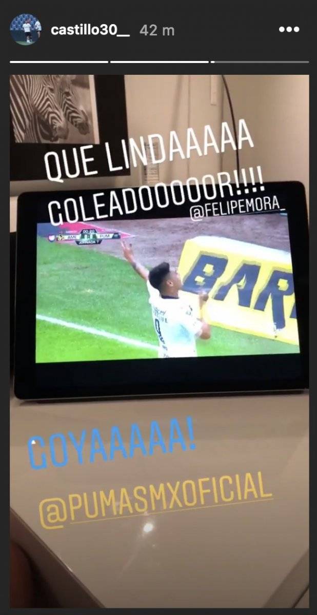 Pumas