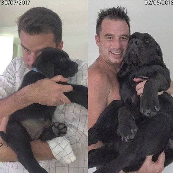 Andrés Jungbluth y su perro