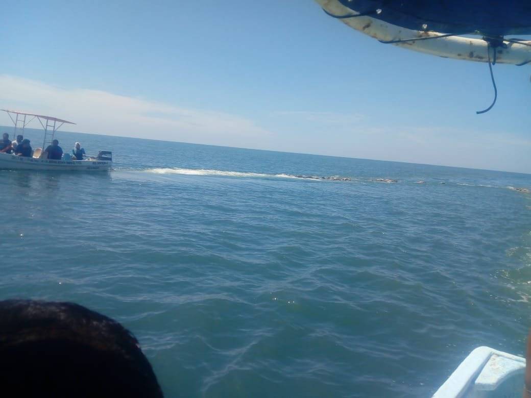 Tortugas