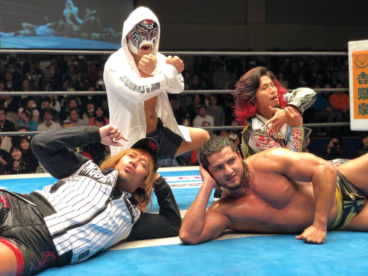 Los ingobernables