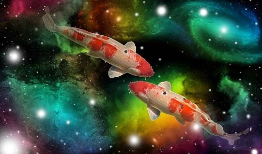 sign of the zodiac pisces
