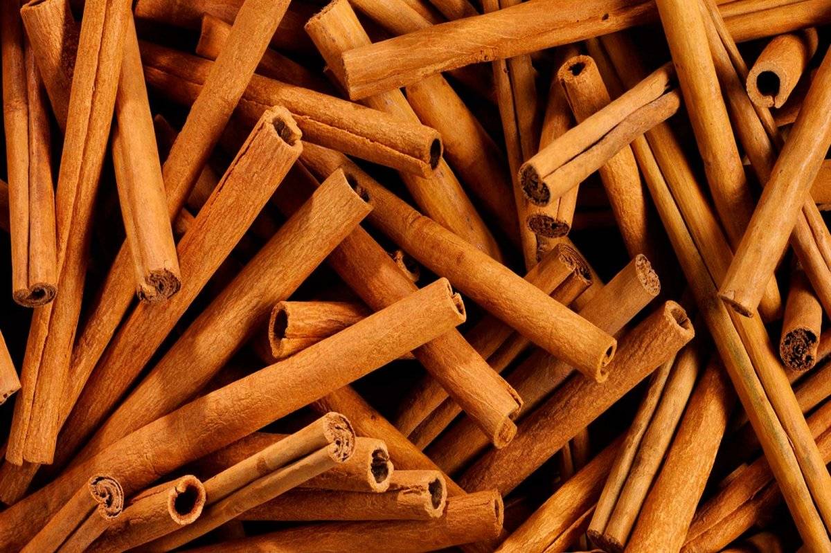 Canela