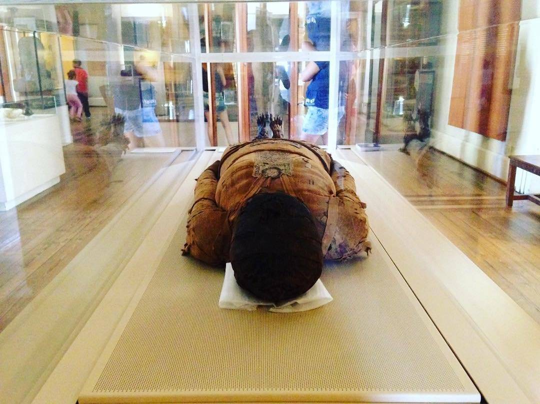 museu nacional incêndio