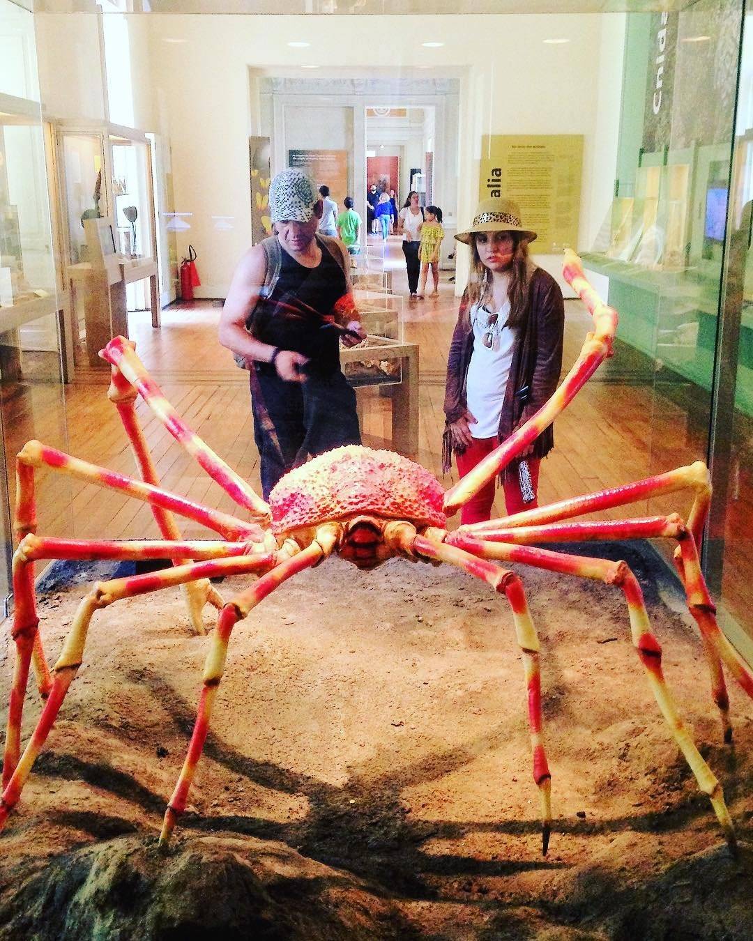museu nacional incêndio