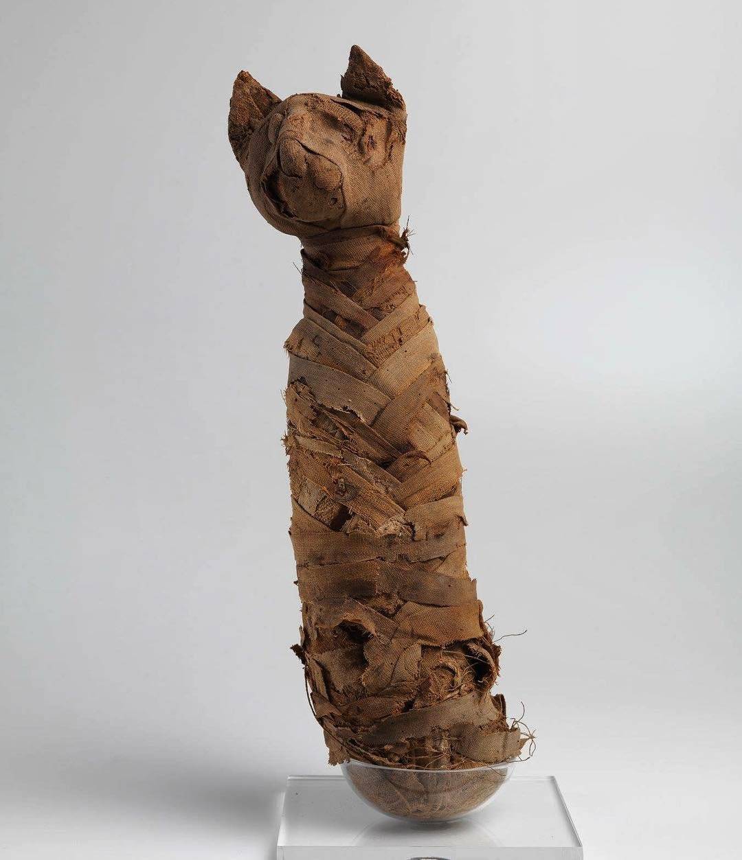 museu nacional incêndio
