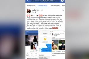7 de cada 10 fraudes pertenecen a una red social