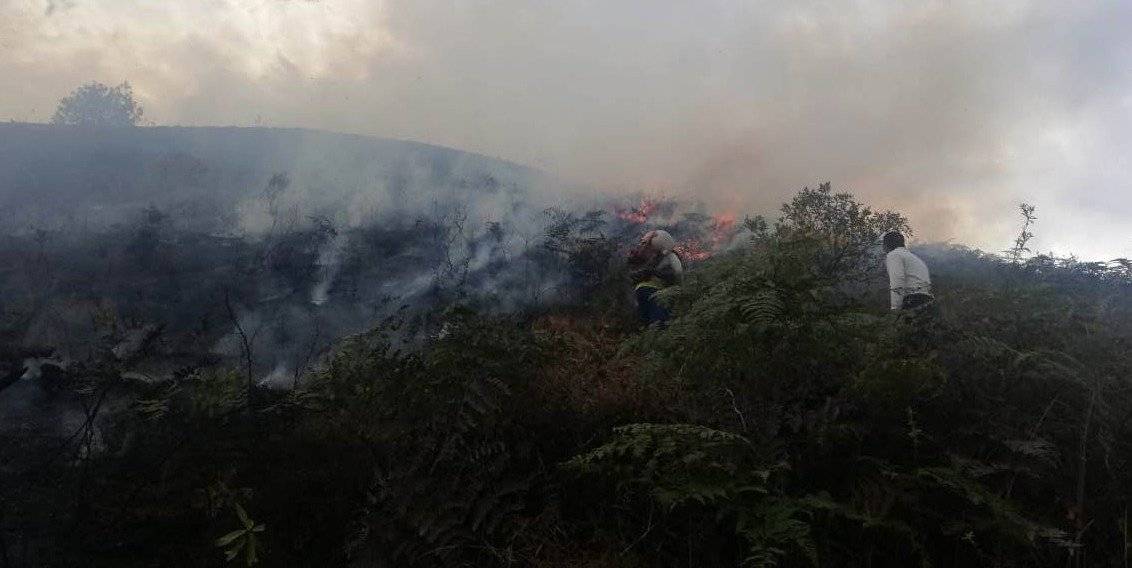Incendio forestal