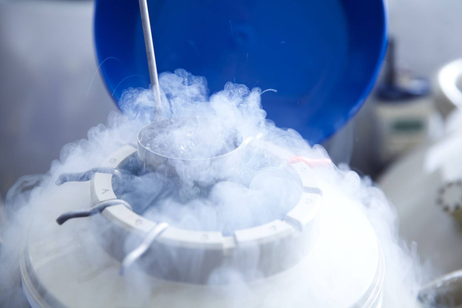 óvulos congelados óvulos congelados