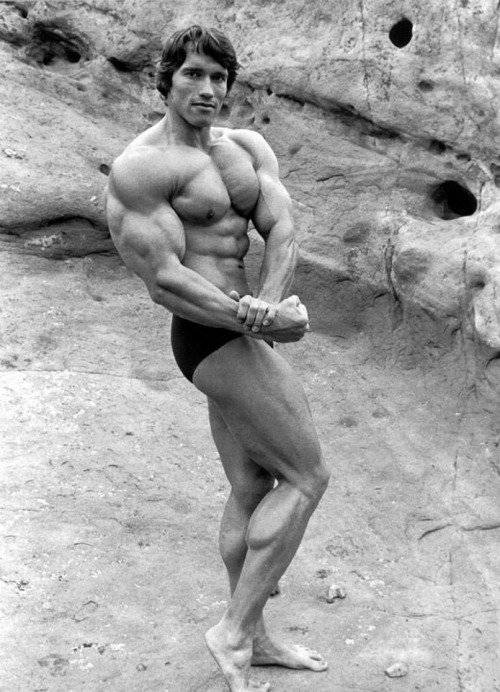 Arnold Schwarzenegger