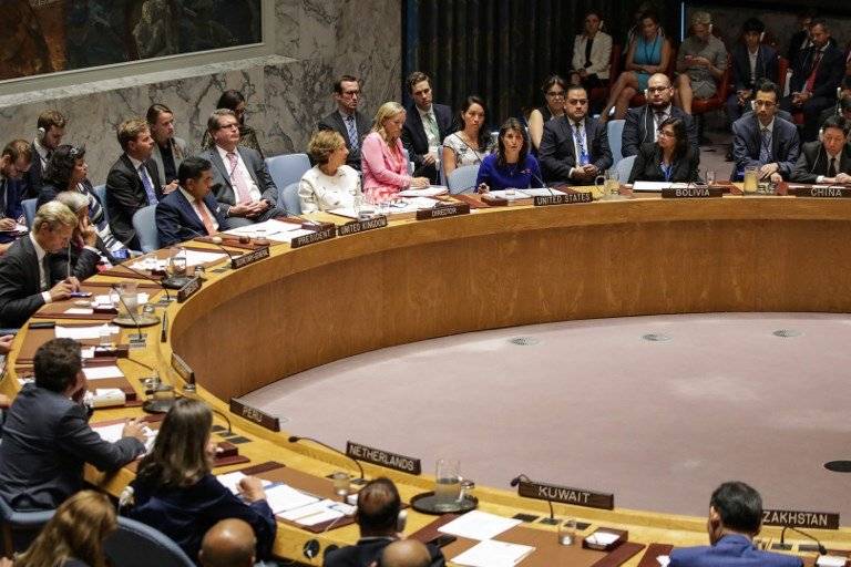 Consejo de Seguridad de la ONU