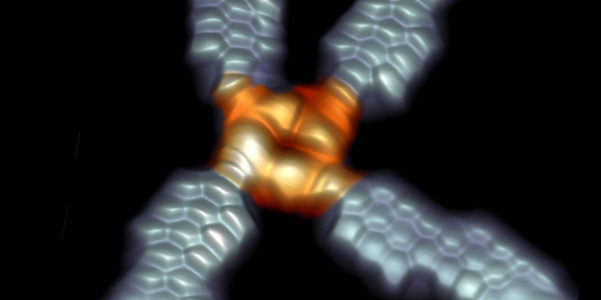 Científicos de la Universidad de Chile presentan investigación clave para la electrónica molecular