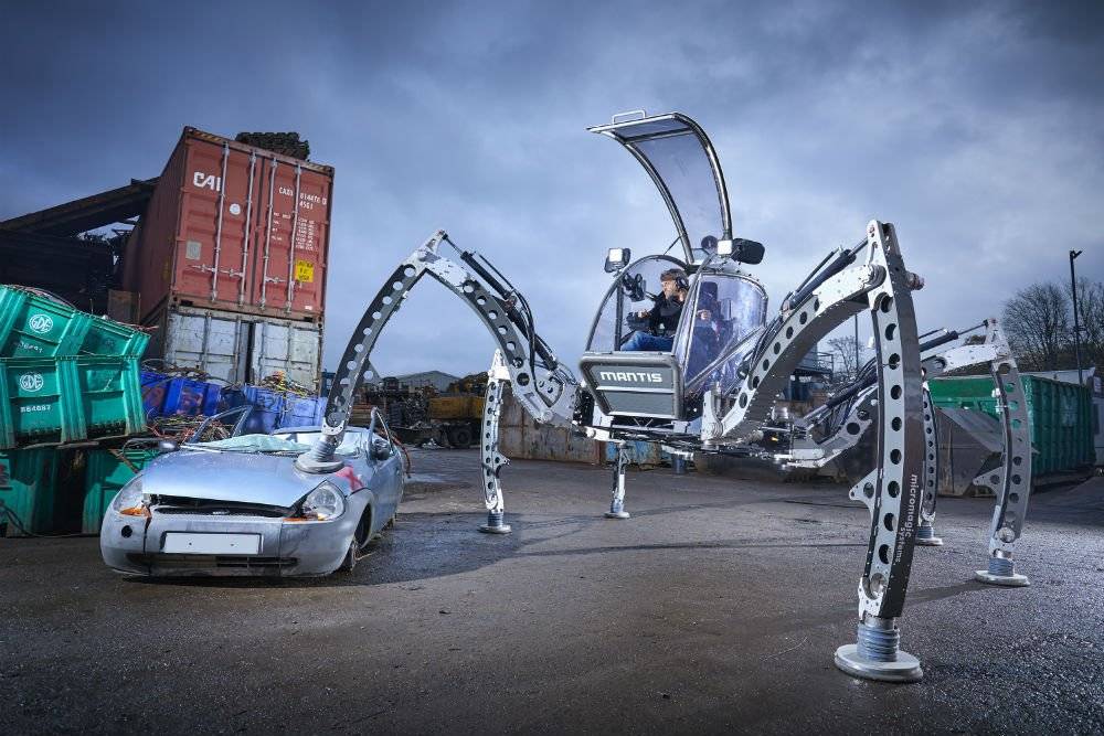 Mantis