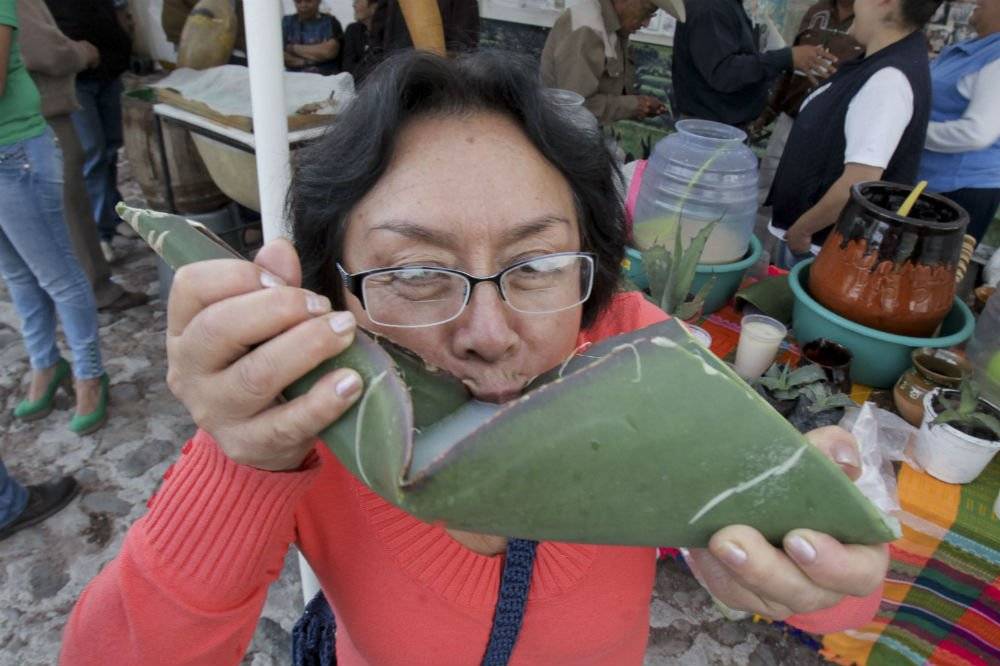 Pulque