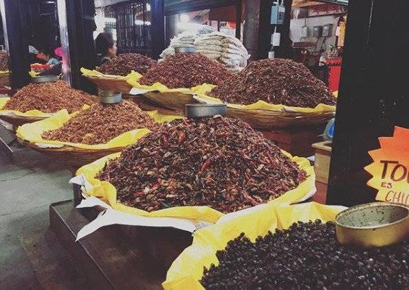 Chapulines