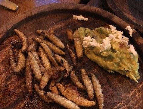 Gusanos