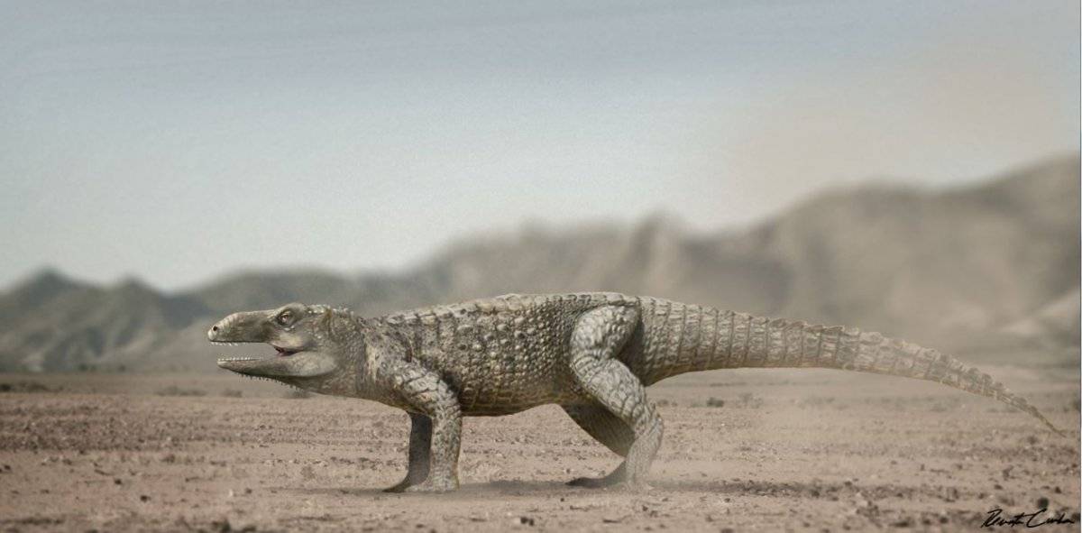 103414832capturefossil-cea41a61195cd2c6f8df1b8defb39a4f.jpg