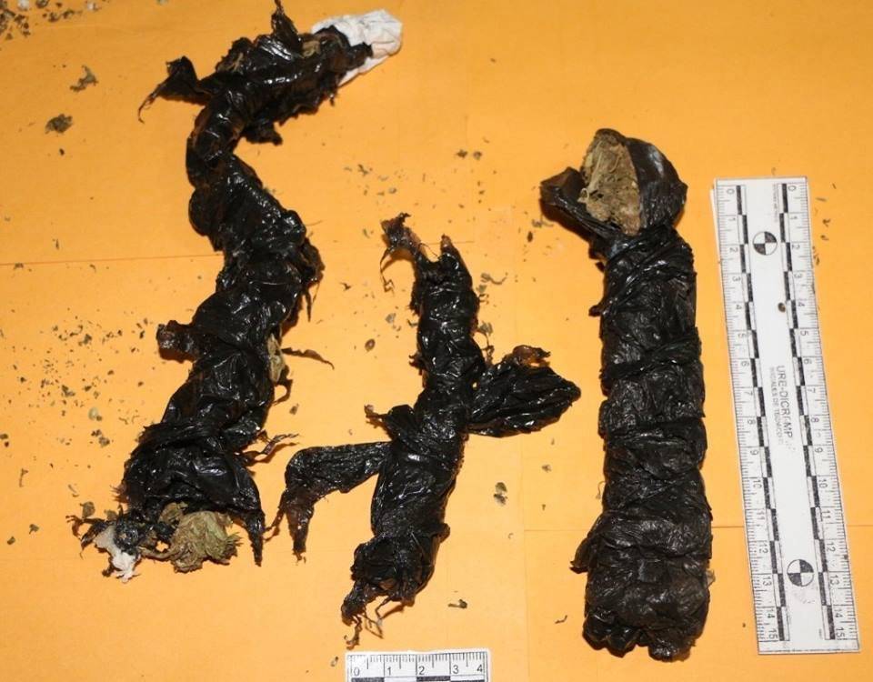 pala con droga en cárcel de Jalapa
